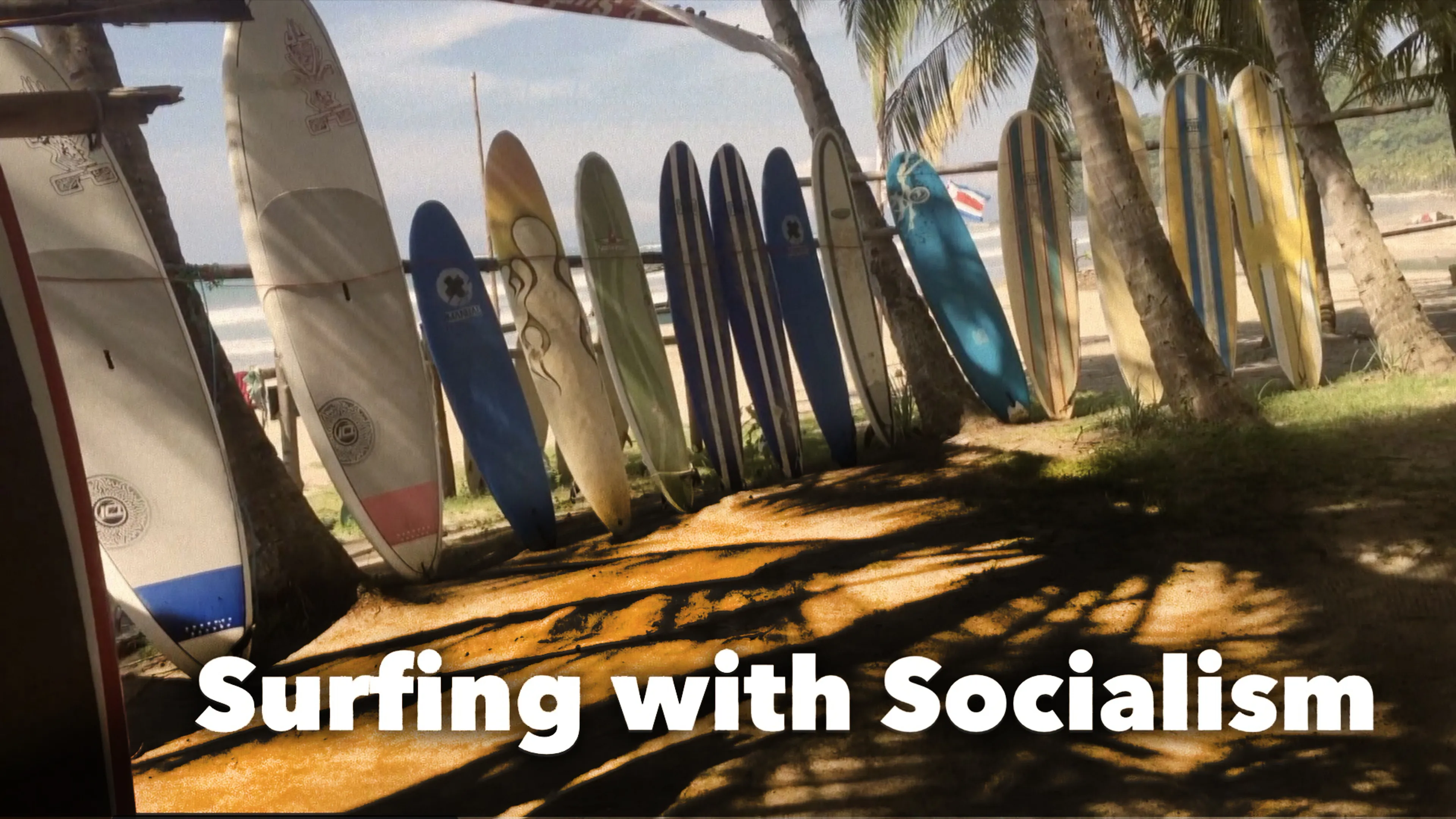 Surfing with Socialism poster
